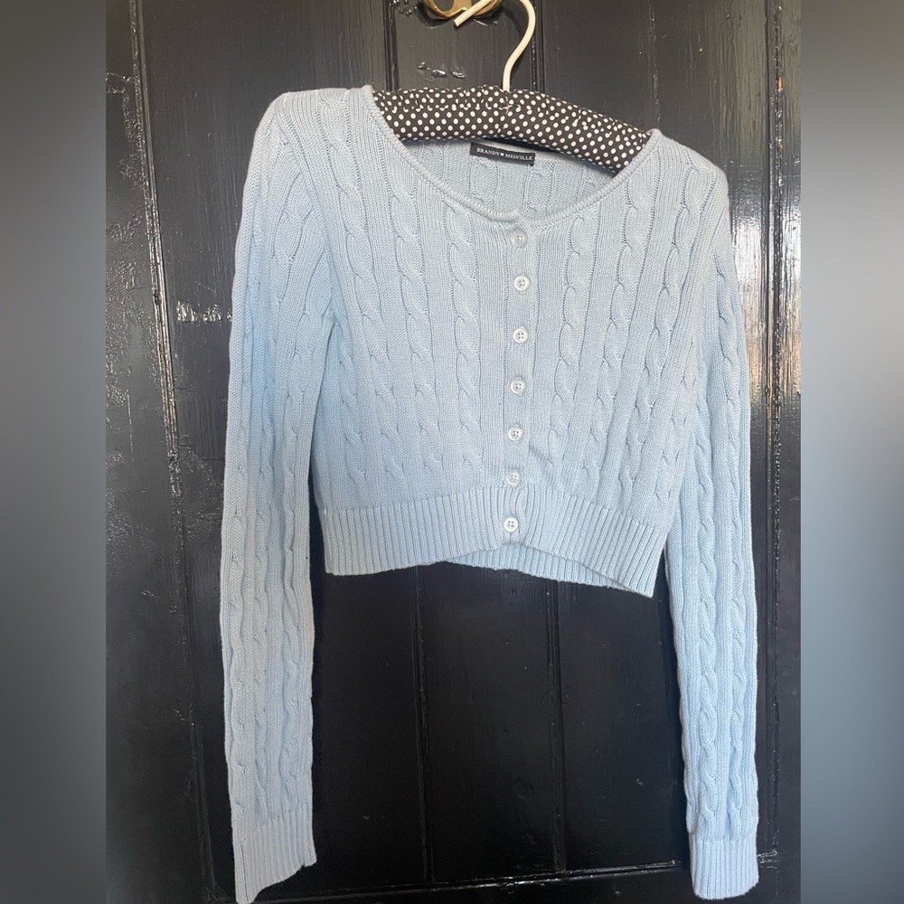 Brandy Melville cropped ribbed sweater